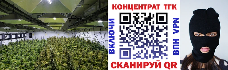как найти наркотики  Шумерля  ТГК жижа 