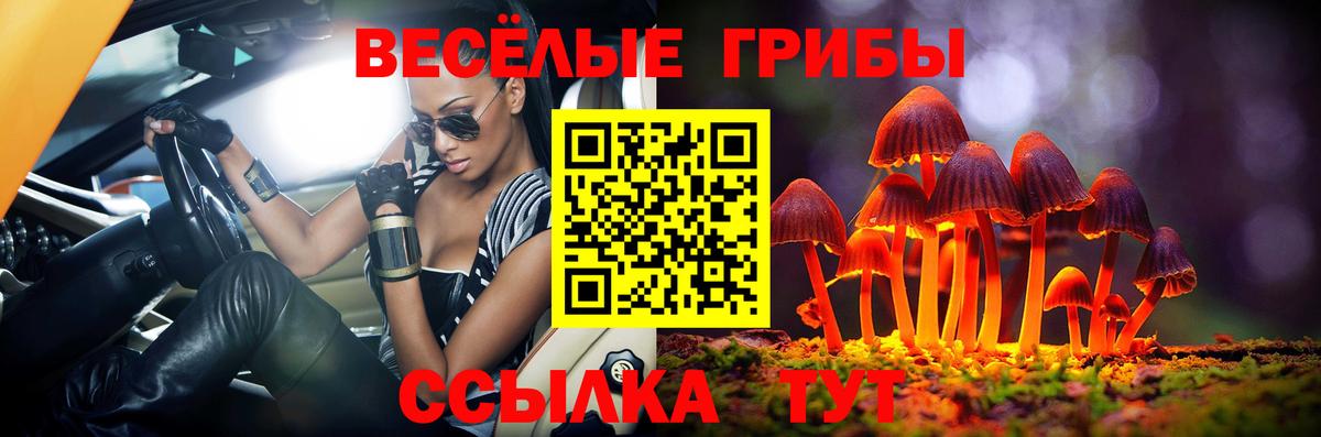Галлюциногенные грибы Psilocybe Шумерля